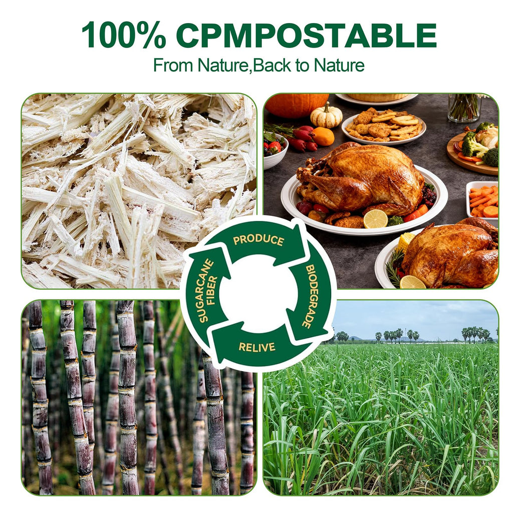 DaYammi 100% Compostable Oval Paper Plates 12 Inch, 60-Pack Heavy Duty Paper Plates Bulk,Biodegradable Bagasse,Eco-Friendly Disposable Dinner Plate for BBQ,Picnic,Party (BPI Certified,Microwaveable)