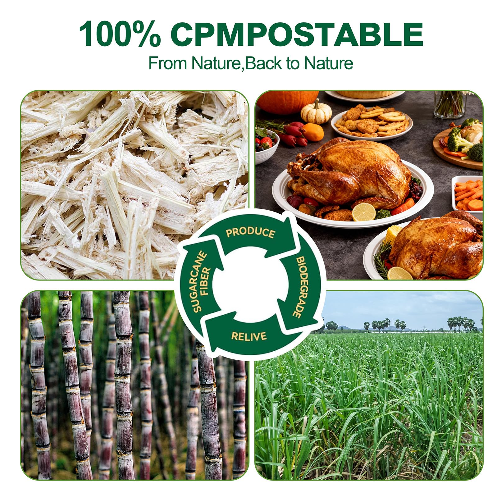 DaYammi 100% Compostable Oval Paper Plates 12 Inch, 60-Pack Heavy Duty Paper Plates Bulk,Biodegradable Bagasse,Eco-Friendly Disposable Dinner Plate for BBQ,Picnic,Party (BPI Certified,Microwaveable)