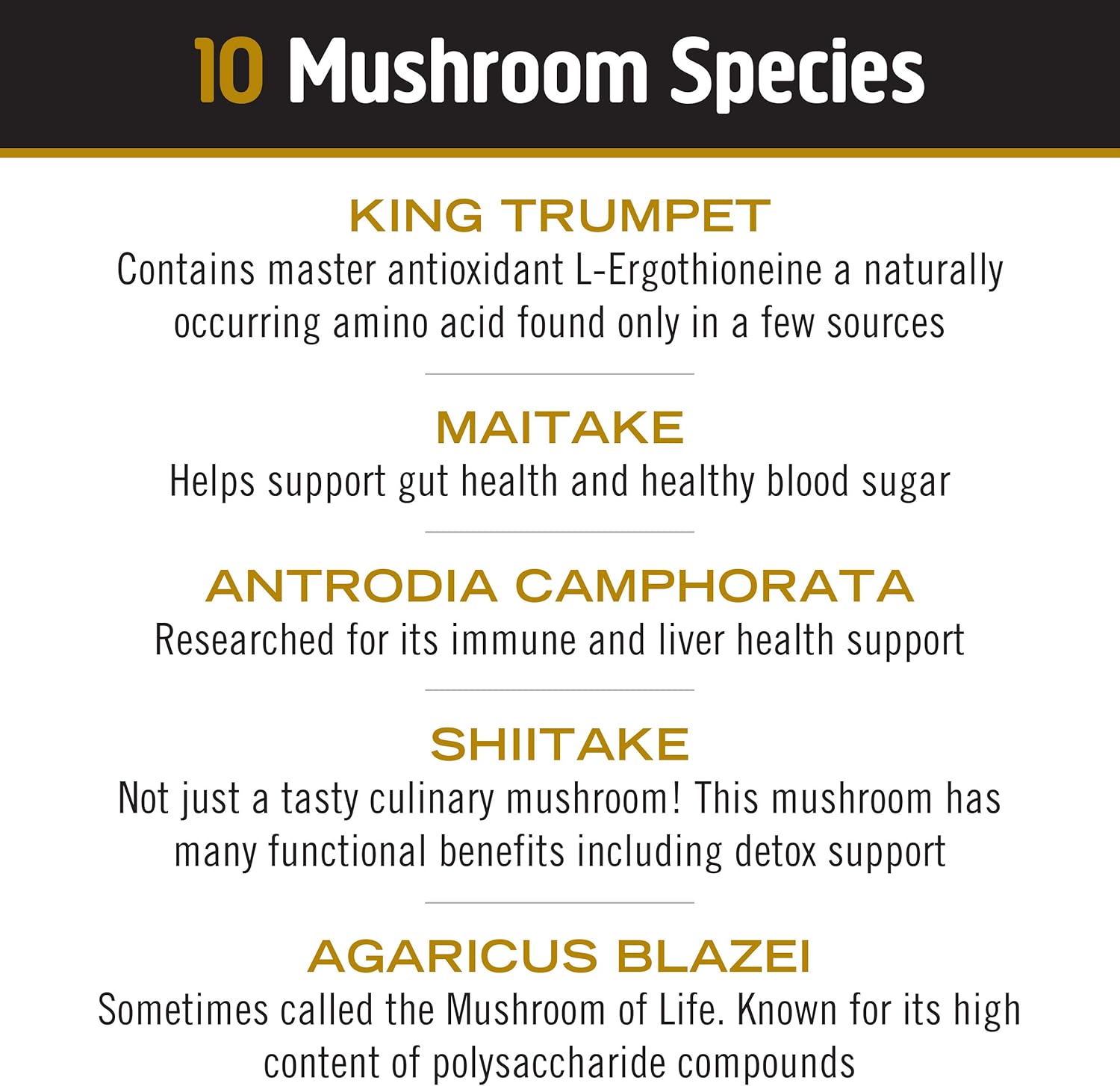OM Mushrooms Master Blend Mushroom Powder – Organic Mushroom Supplement with 10 Mushrooms and Ashwagandha - Support Immunity, Gut Health & Stress Relief, 6.34 oz (80 Servings)