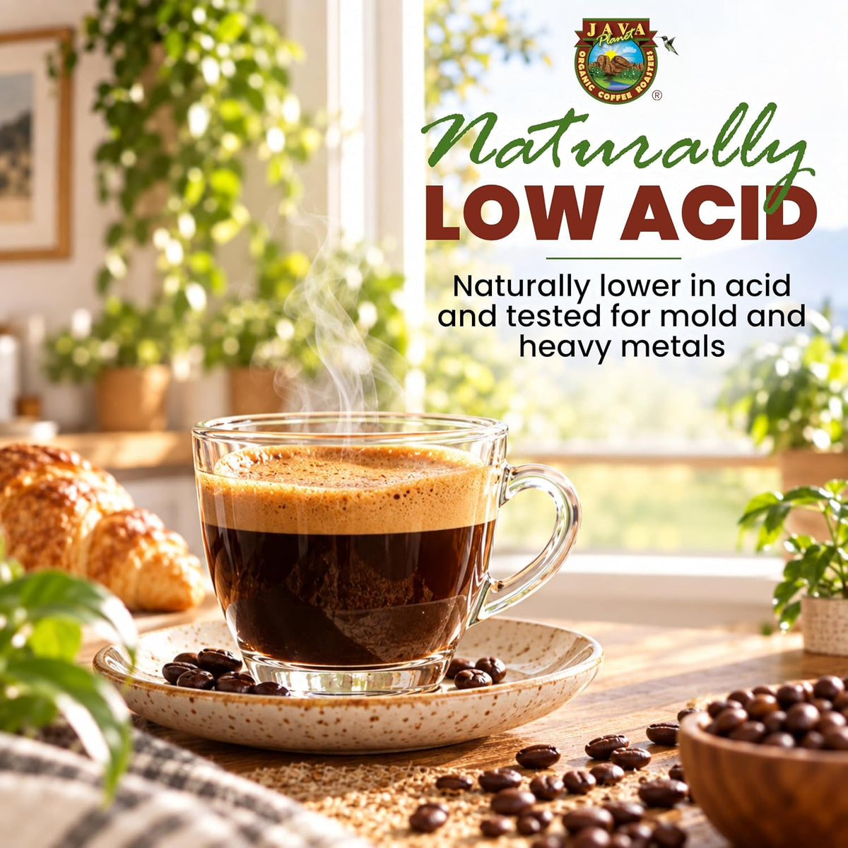 Java Planet Low Acid Organic Espresso Whole Bean Coffee 16oz