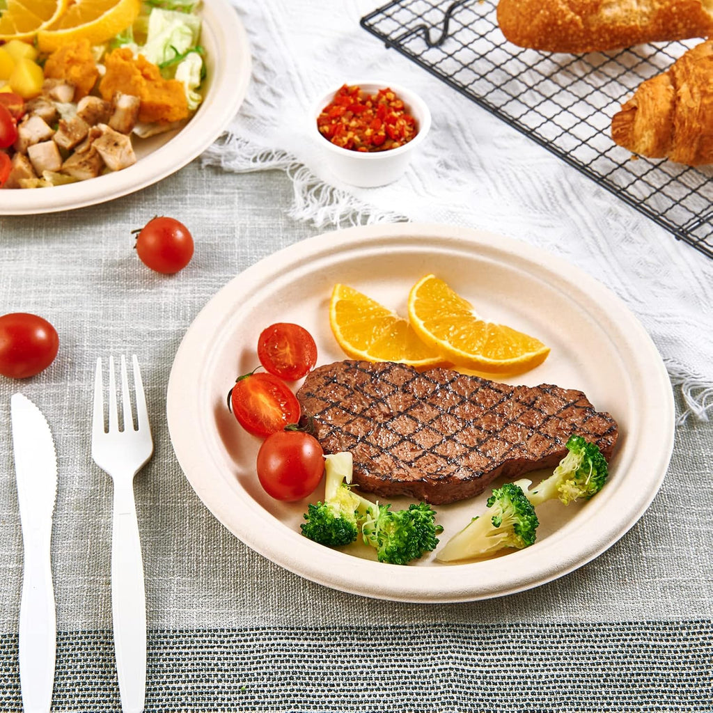 Vplus 150 Pack Compostable Disposable Paper Plates 9 inch and 500 Pack 12 OZ Paper Bowls