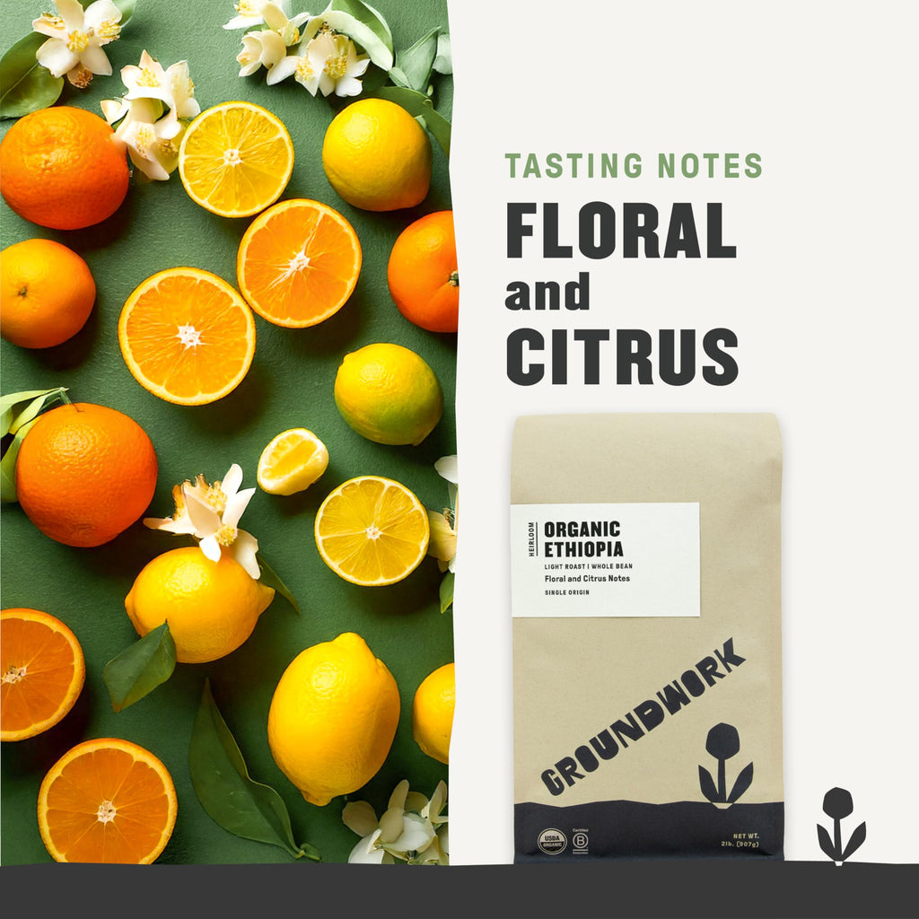 GROUNDWORK Ethiopia Heirloom Blend - Whole Bean Coffee Light Roast - USDA Organic Single Origin Coffee - 12oz (Pack of 1)