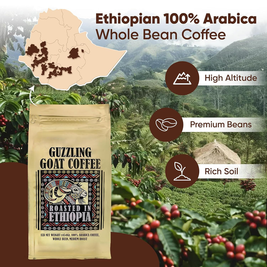 Guzzling Goat Ethiopian Coffee Beans | Premium 100% Arabica Whole Bean Coffee Medium Roast | Strong Flavorful Brew | Sourced & Roasted in Ethiopia | 1 lb (454g)