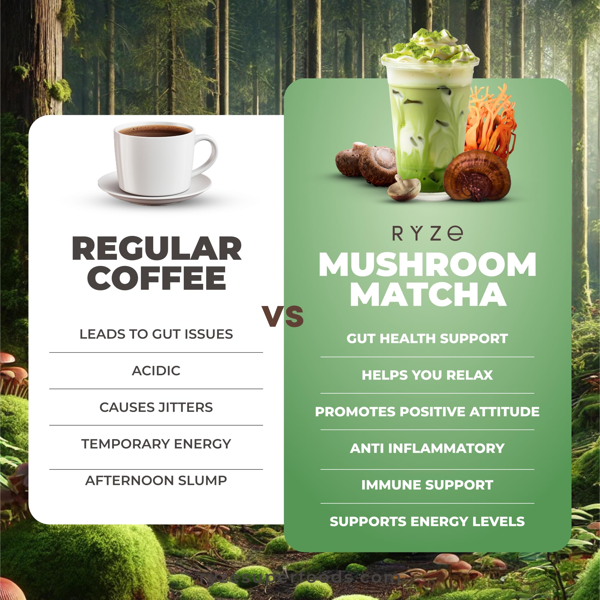 RYZE SUPERFOODS Mushroom Matcha Starter Kit, USDA Organic with 6 Adaptogenic Mushrooms and Ceremonial-Grade Matcha, Energy, Focus, Digestion, Immunity with Turkey Tail, Shiitake, Reishi (Matcha (Pack of 1))