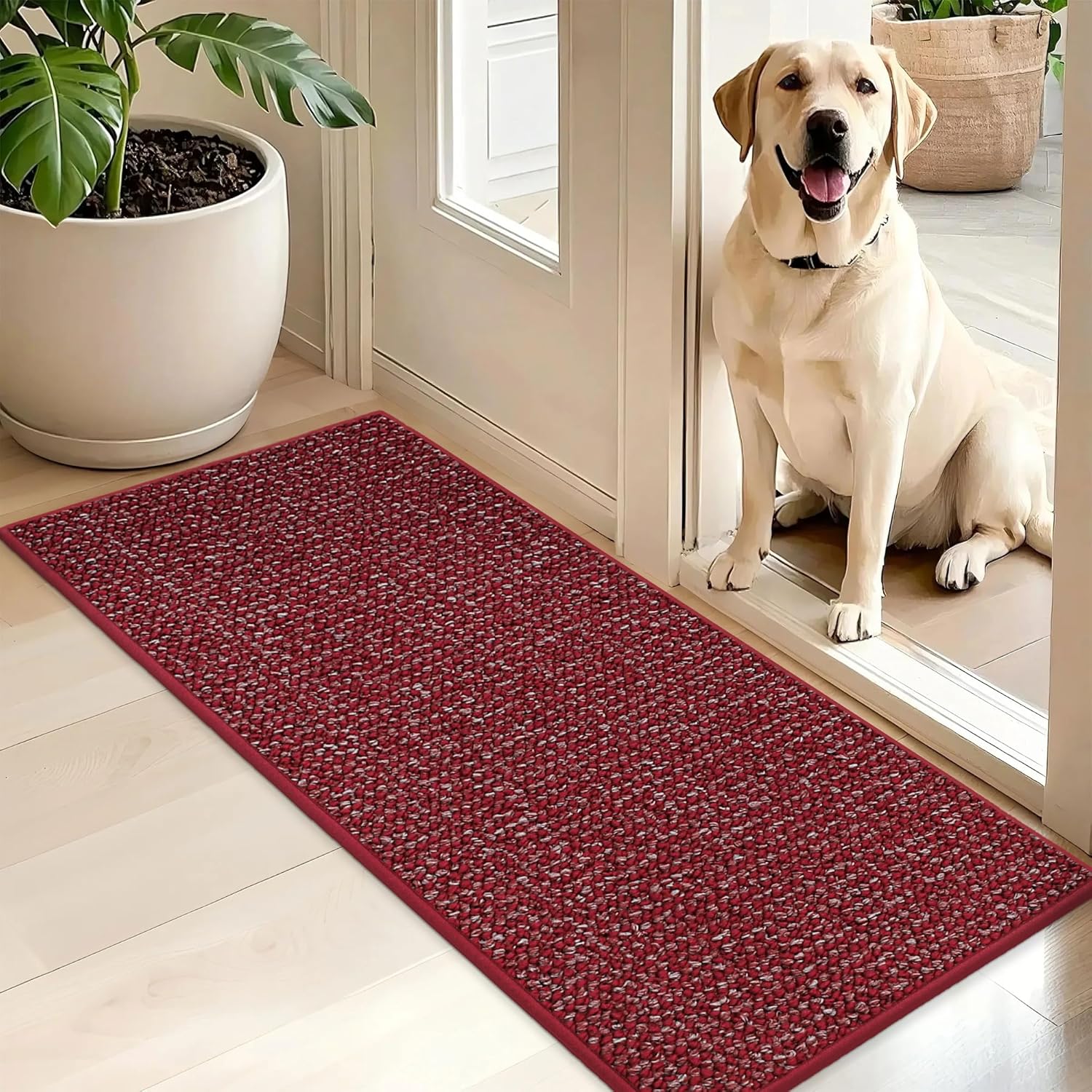 BEQHAUSE Dirt Trapper Door Mat 20" x 32", Non-Slip Washable Doormats Entrance Mat, Dirt Resistant and Absorbent Welcome Mat, Low Profile Floor Mats for Front Back Door and Entryway, Charcoal