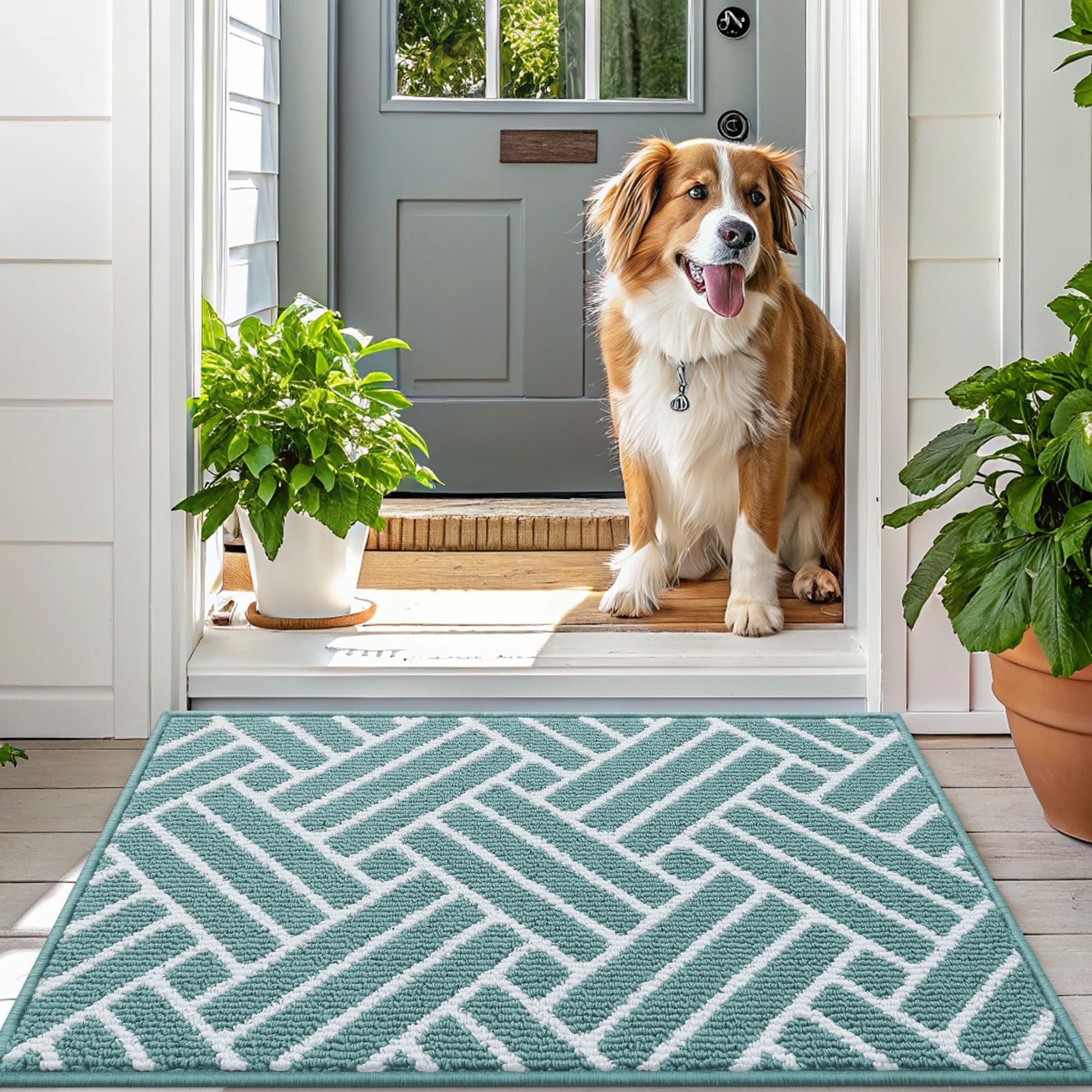 OLANLY Indoor Door Mat, 32x20 Inch, Dirt Resistant and Absorbent, Non-Slip Rubber Backing Floor Mats, Easy Clean Low-Profile Doormat for Entryway, Front Door, and Inside Entrance, Grey