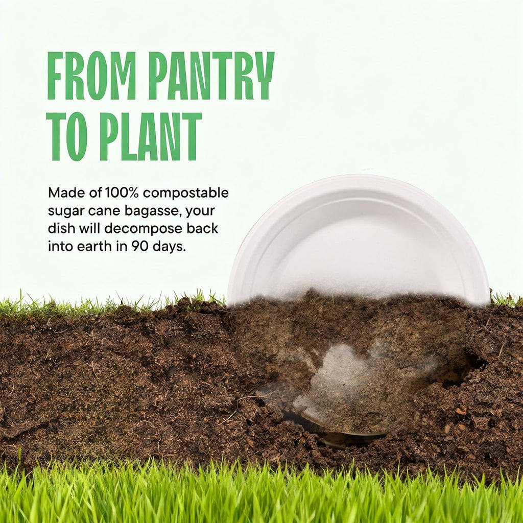DaYammi 100% Compostable Oval Paper Plates 12 Inch, 60-Pack Heavy Duty Paper Plates Bulk,Biodegradable Bagasse,Eco-Friendly Disposable Dinner Plate for BBQ,Picnic,Party (BPI Certified,Microwaveable)