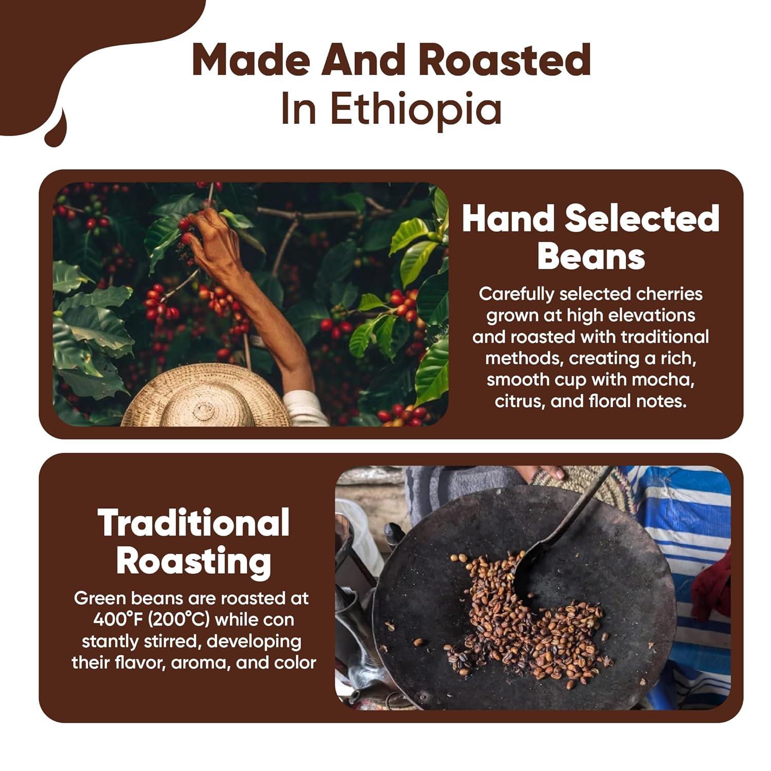 Guzzling Goat Ethiopian Coffee Beans | Premium 100% Arabica Whole Bean Coffee Medium Roast | Strong Flavorful Brew | Sourced & Roasted in Ethiopia | 1 lb (454g)