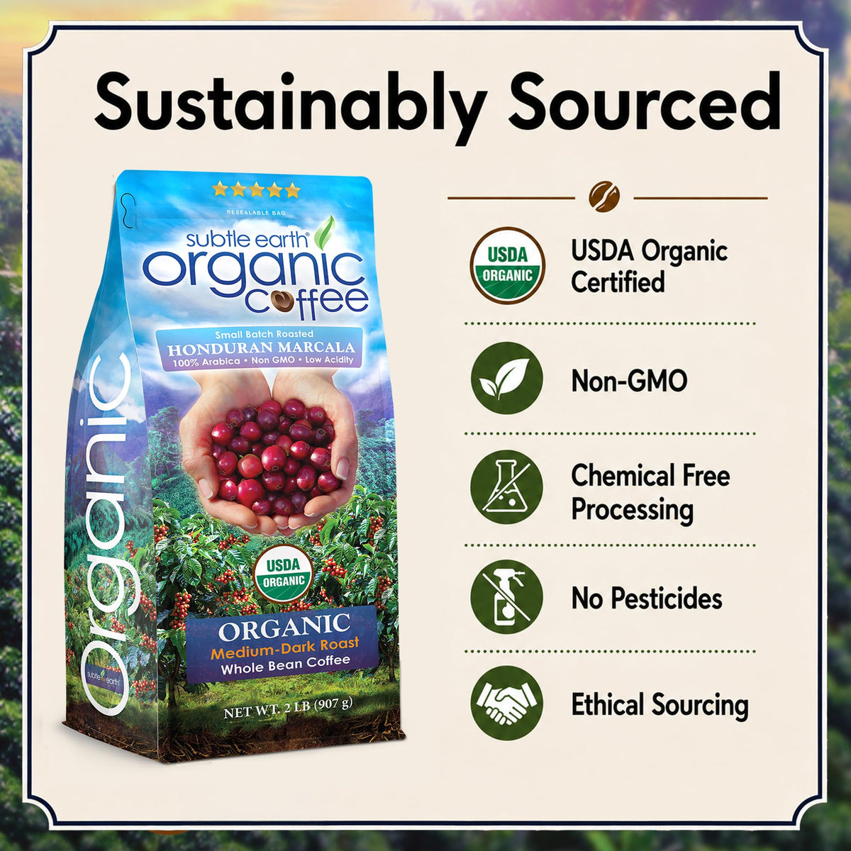 2LB Subtle Earth Organic Coffee - Dark Roast - Whole Bean Coffee - 100% Arabica Beans - Low Acidity and Non-GMO - 2lb bag