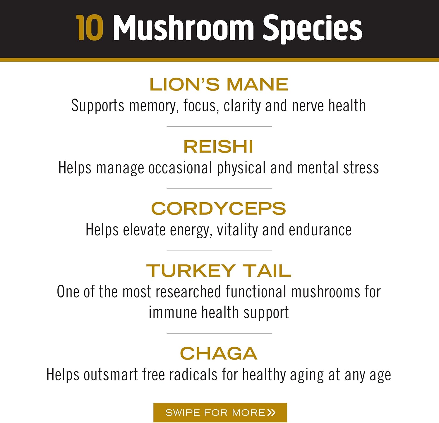 OM Mushrooms Master Blend Mushroom Powder – Organic Mushroom Supplement with 10 Mushrooms and Ashwagandha - Support Immunity, Gut Health & Stress Relief, 6.34 oz (80 Servings)