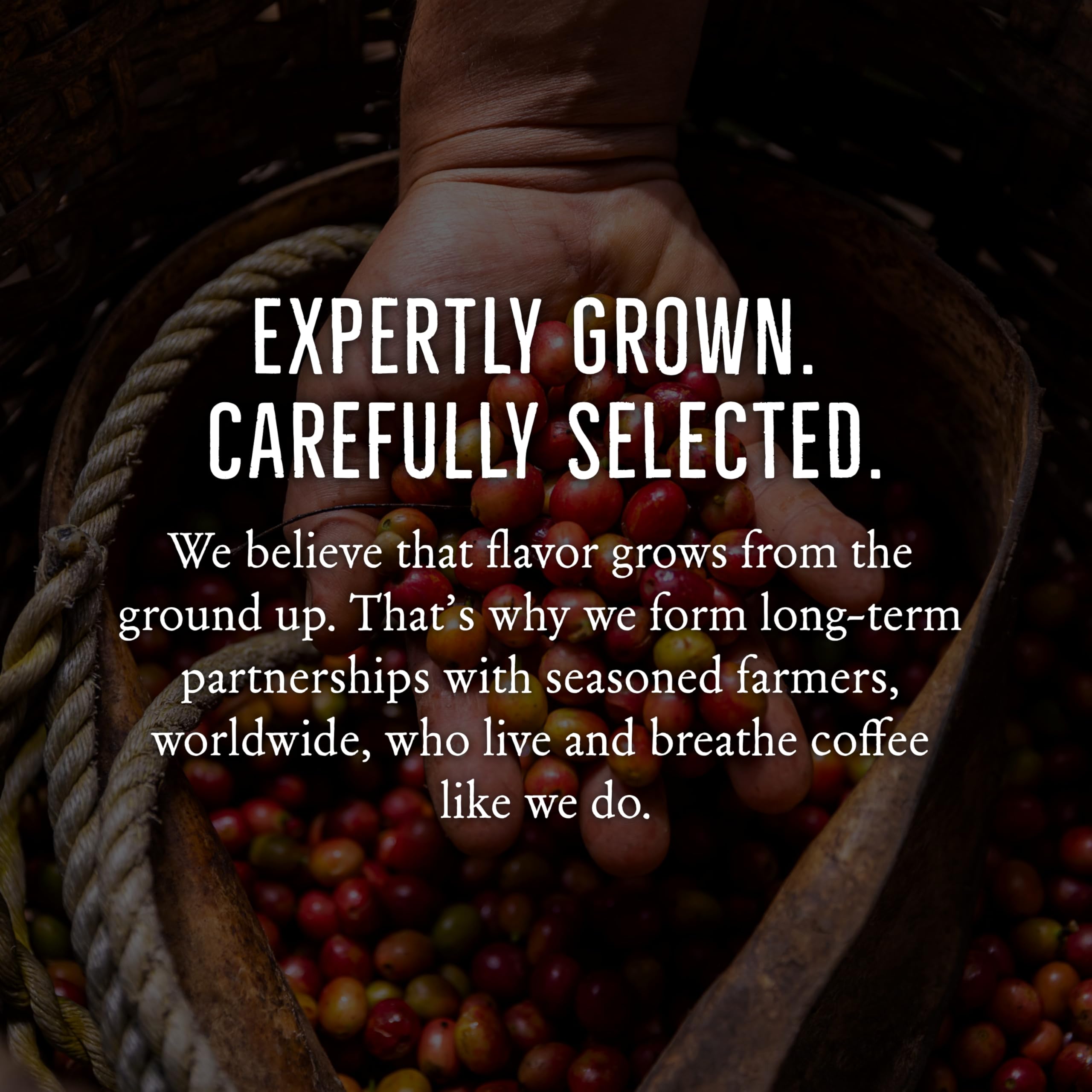 Mt. Comfort Coffee Organic Peru Medium Roast, 2.5 Pounds - Flavor Notes of Nutty, Chocolate, & Citrus - Sourced From Small, Peruvian Coffee Farms - Roasted Whole Beans