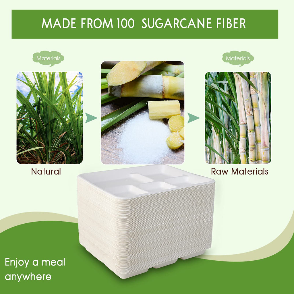 Vplus 100% Compostable 6 Compartment Plates, 90 Pack Compartment Paper Plate, 12.5x8.6 inch Disposable School Lunch Trays, Eco-Friendly Bagasse Plates for School Lunch, Buffet, and Party