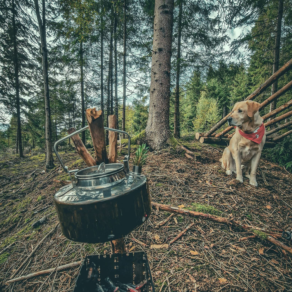 Fire-Maple Antarcti Portable 1.2 Liter Lightweight Stainless Steel Camping Kettle | Durable and Portable Camp Tea Pot | Ideal for Bushcraft and Outdoor Campfire Use