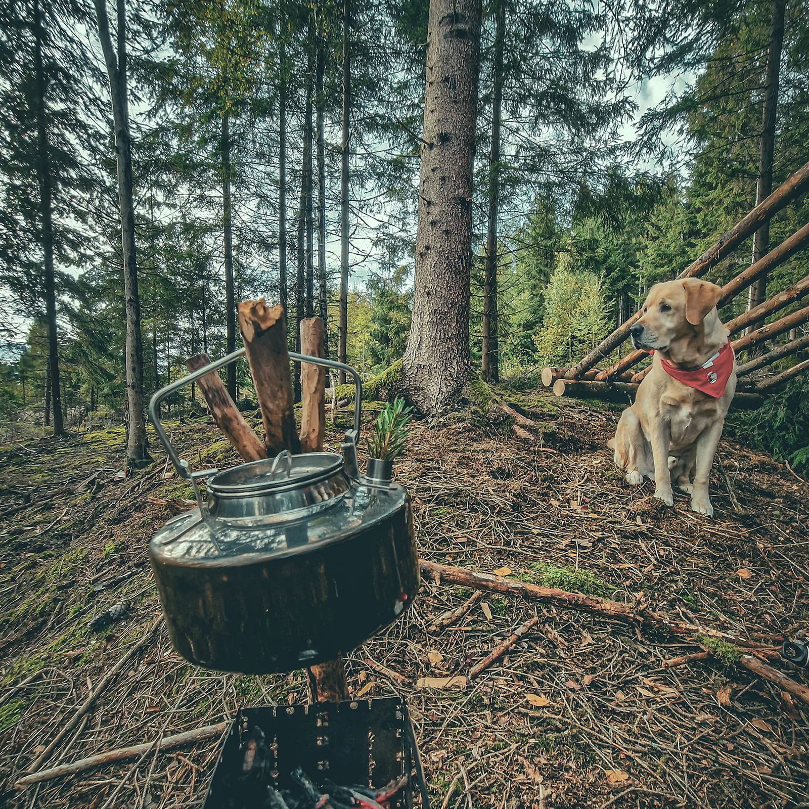 Fire-Maple Antarcti Portable 1.2 Liter Lightweight Stainless Steel Camping Kettle | Durable and Portable Camp Tea Pot | Ideal for Bushcraft and Outdoor Campfire Use