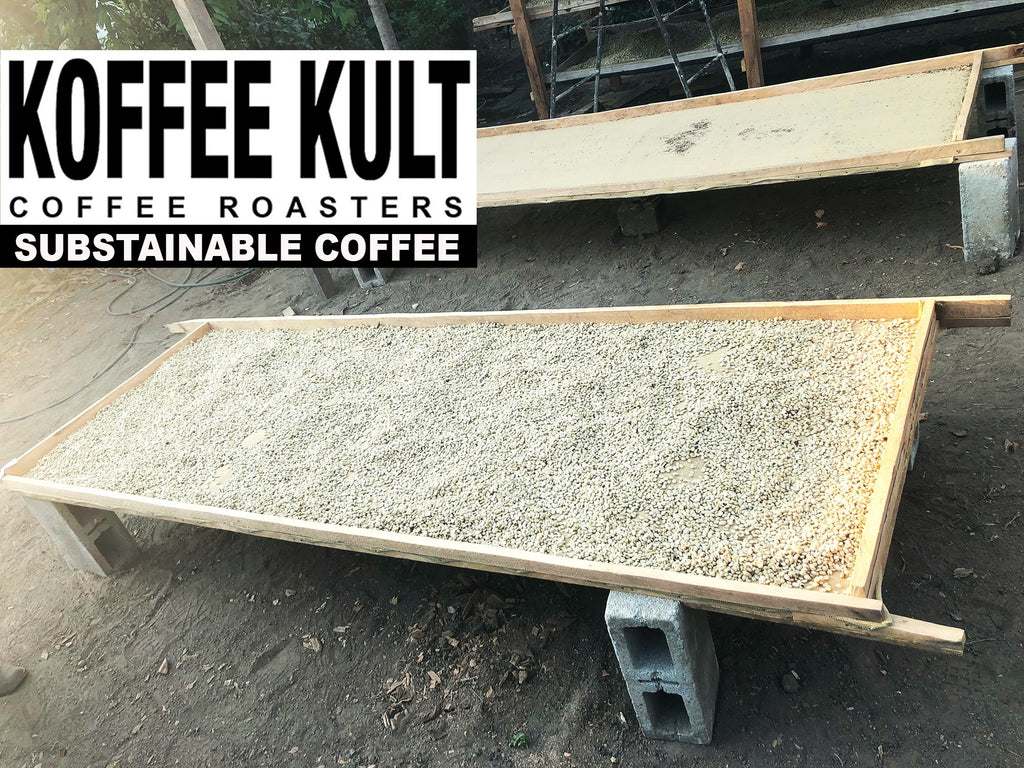 Koffee Kult Dark Roast Whole Bean Coffee - Small Batch 100% Arabica Gourmet Blend, Smooth and Well Balanced Artisan Roasted in 32oz Resealable Package