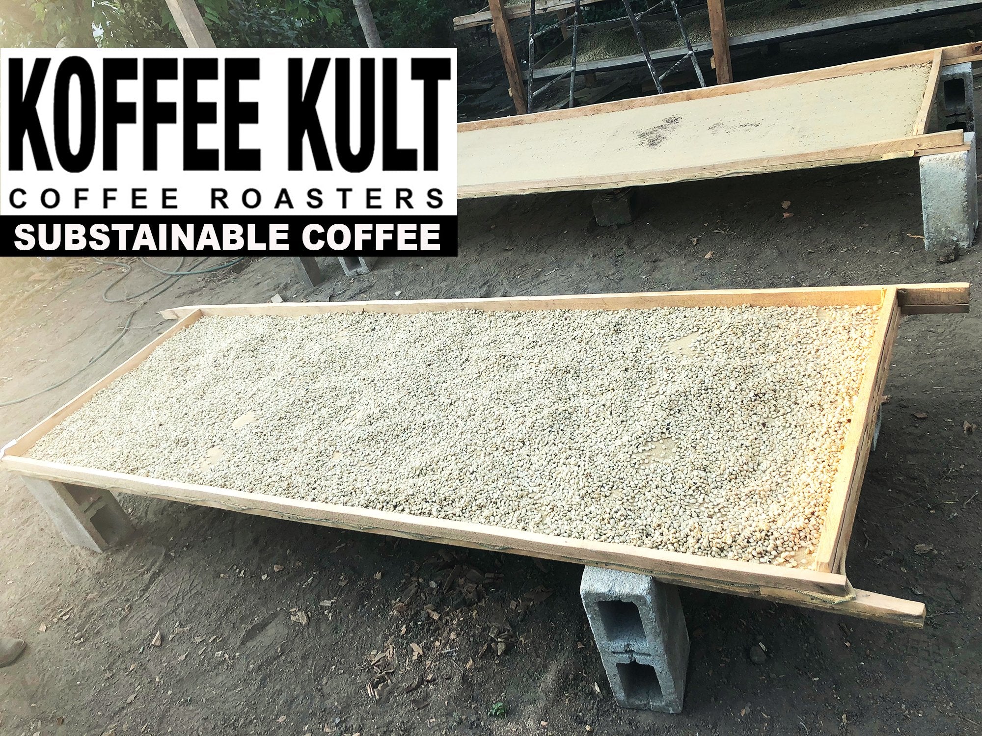 Koffee Kult Dark Roast Whole Bean Coffee - Small Batch 100% Arabica Gourmet Blend, Smooth and Well Balanced Artisan Roasted in 32oz Resealable Package