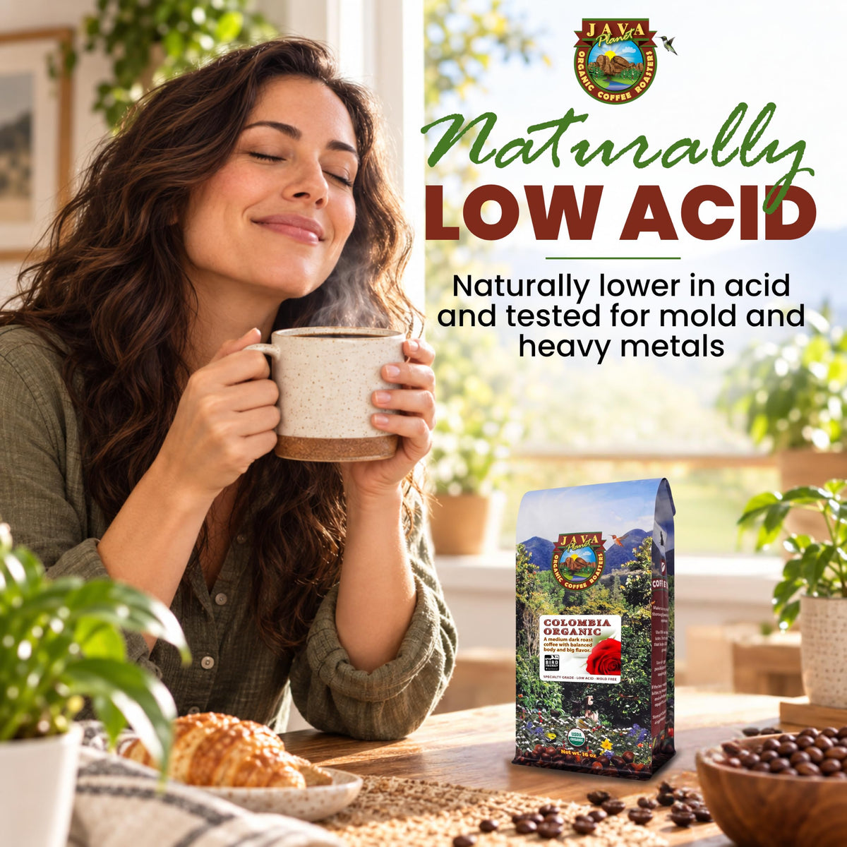 Java Planet Low Acid Organic Espresso Whole Bean Coffee 16oz