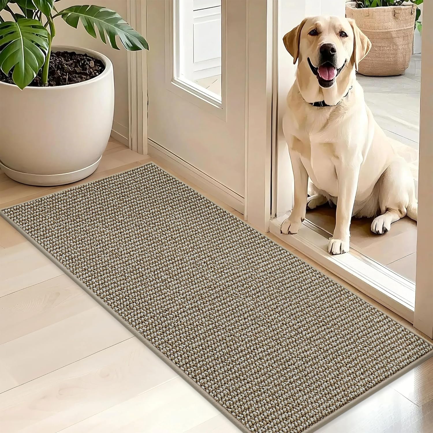 BEQHAUSE Dirt Trapper Door Mat 20" x 32", Non-Slip Washable Doormats Entrance Mat, Dirt Resistant and Absorbent Welcome Mat, Low Profile Floor Mats for Front Back Door and Entryway, Charcoal