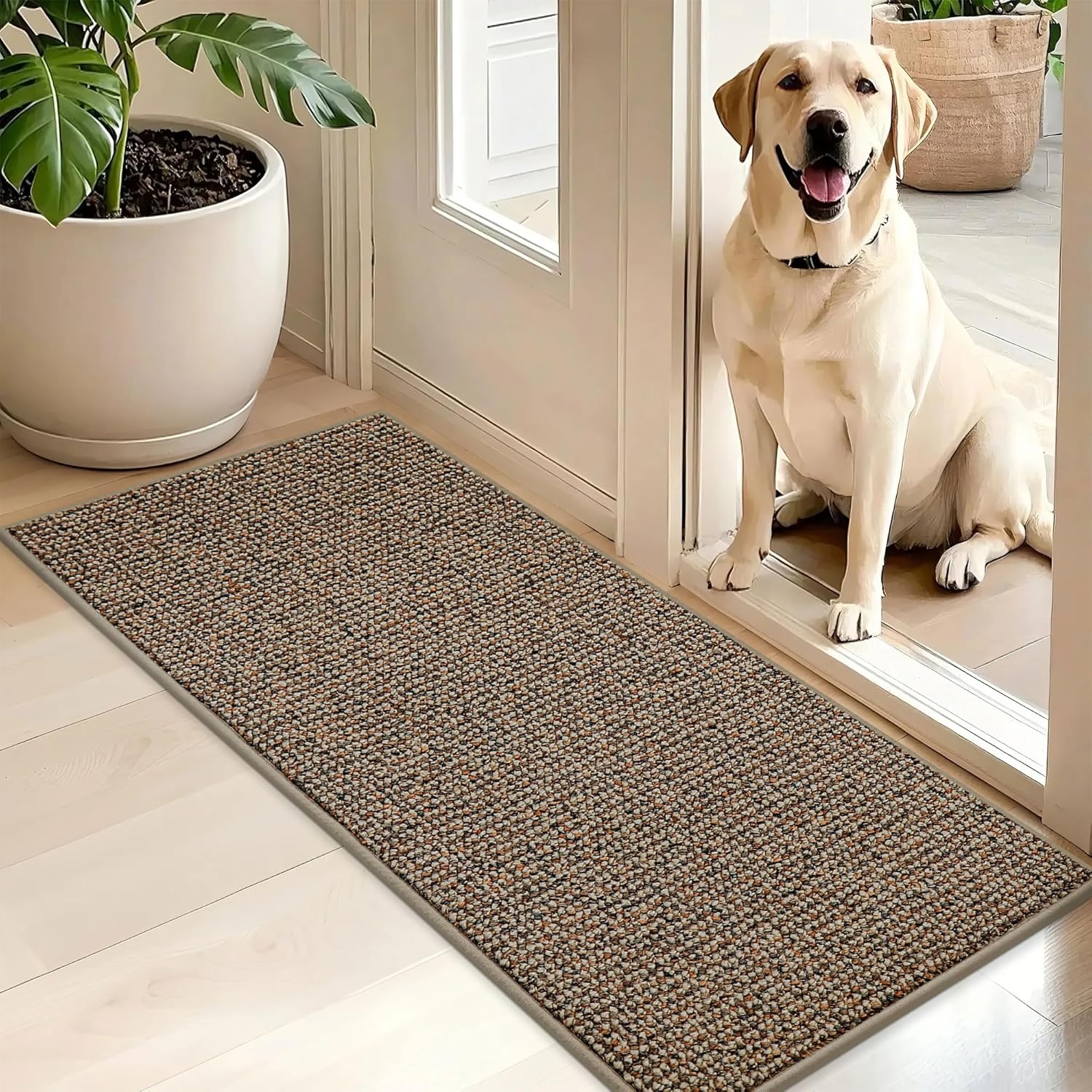 BEQHAUSE Dirt Trapper Door Mat 20" x 32", Non-Slip Washable Doormats Entrance Mat, Dirt Resistant and Absorbent Welcome Mat, Low Profile Floor Mats for Front Back Door and Entryway, Charcoal