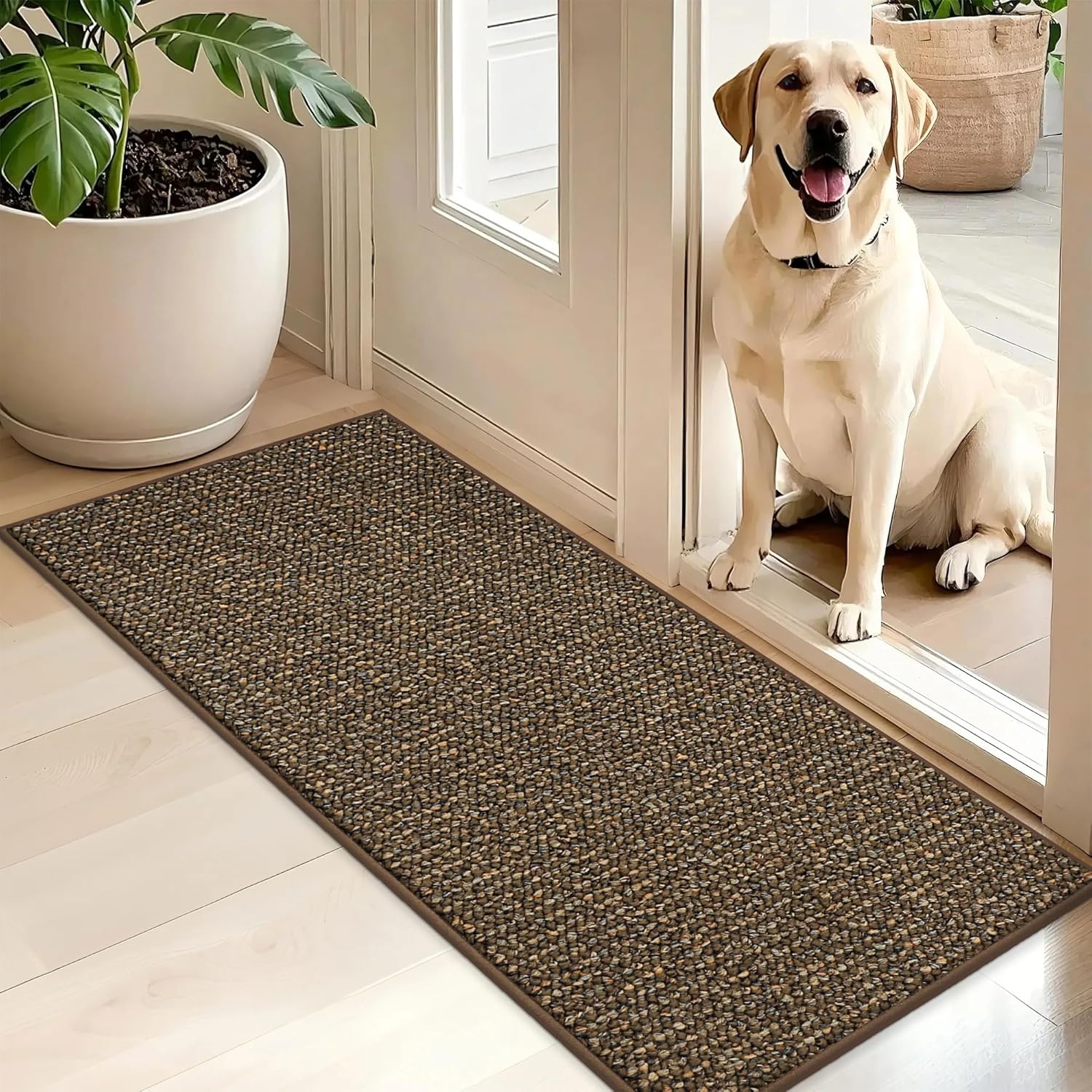 BEQHAUSE Dirt Trapper Door Mat 20" x 32", Non-Slip Washable Doormats Entrance Mat, Dirt Resistant and Absorbent Welcome Mat, Low Profile Floor Mats for Front Back Door and Entryway, Charcoal