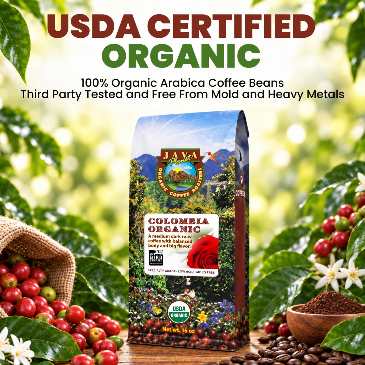 Java Planet Low Acid Organic Espresso Whole Bean Coffee 16oz