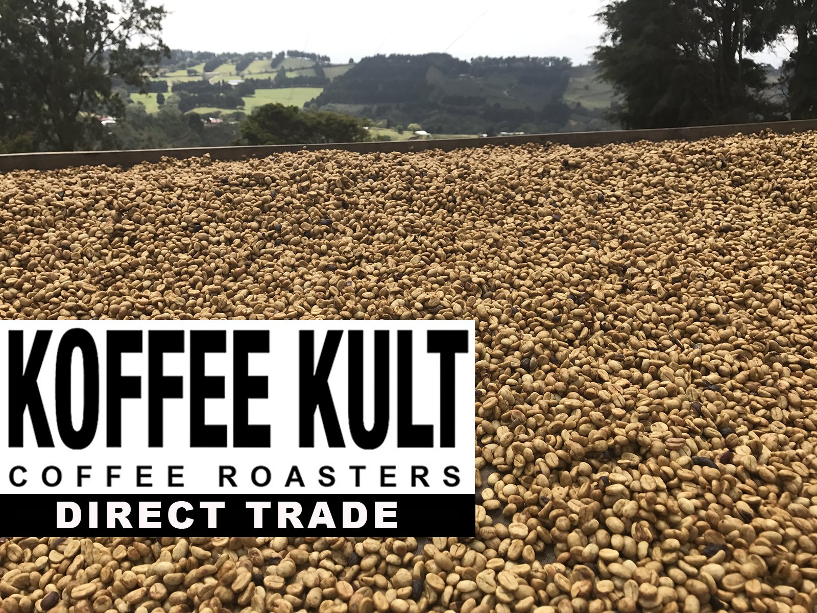 Koffee Kult Koffee Kult Medium Roast Smooth and Flavorful Ground Coffee - Perfect for a Relaxing Cup Anytime (Medium Roast, 32oz)
