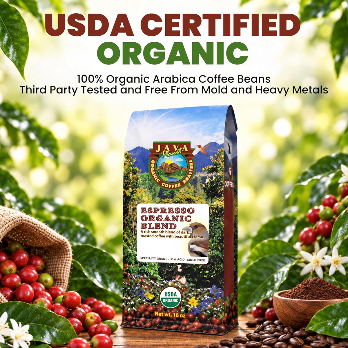 Java Planet Low Acid Organic Espresso Whole Bean Coffee 16oz