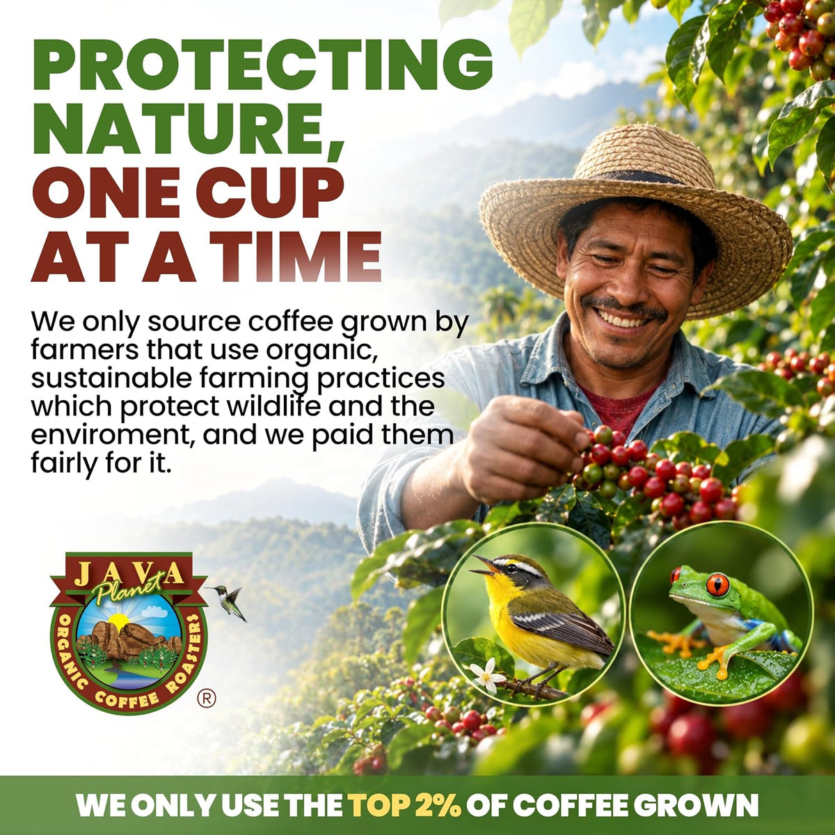 Java Planet Low Acid Organic Espresso Whole Bean Coffee 16oz