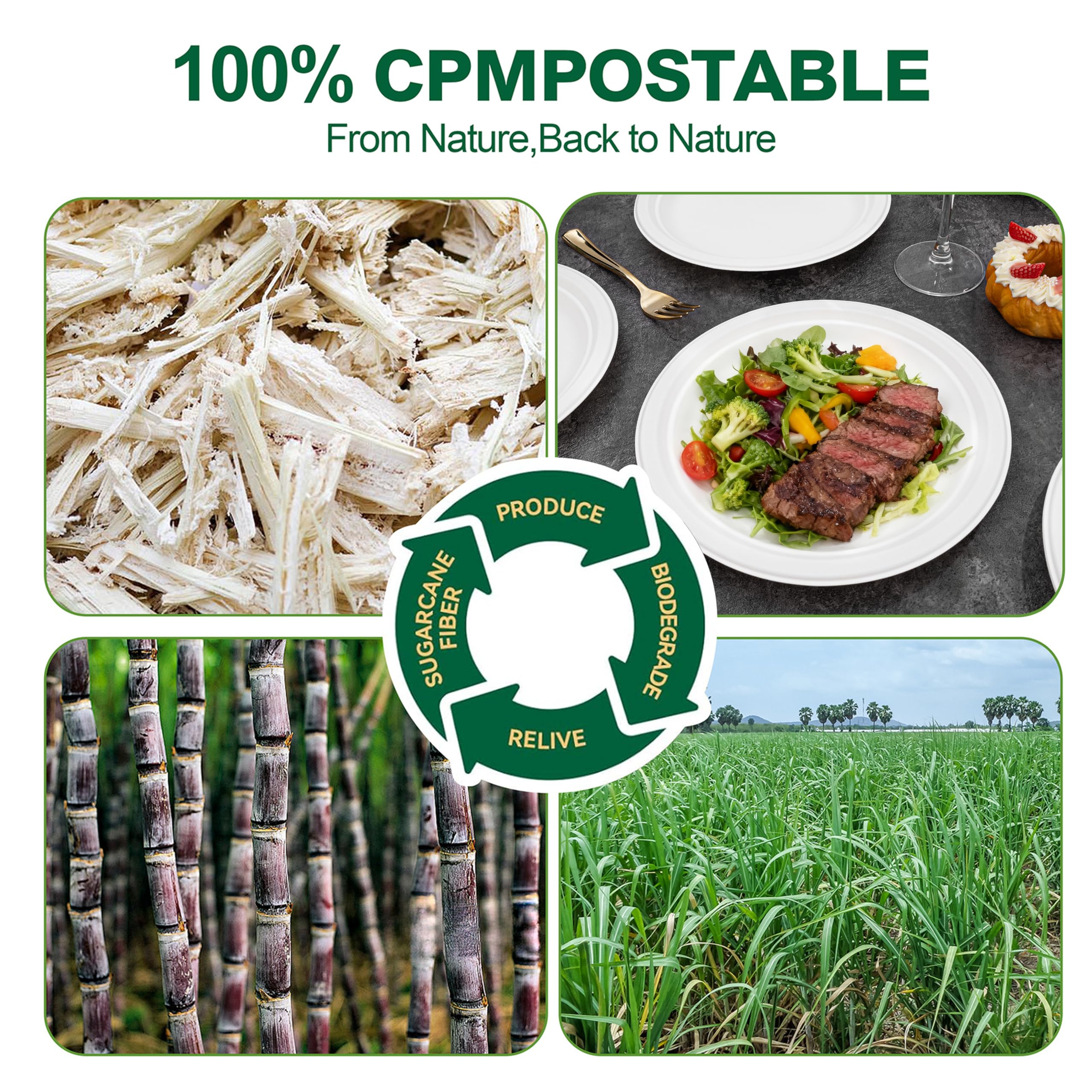 DaYammi 100% Compostable Oval Paper Plates 12 Inch, 60-Pack Heavy Duty Paper Plates Bulk,Biodegradable Bagasse,Eco-Friendly Disposable Dinner Plate for BBQ,Picnic,Party (BPI Certified,Microwaveable)