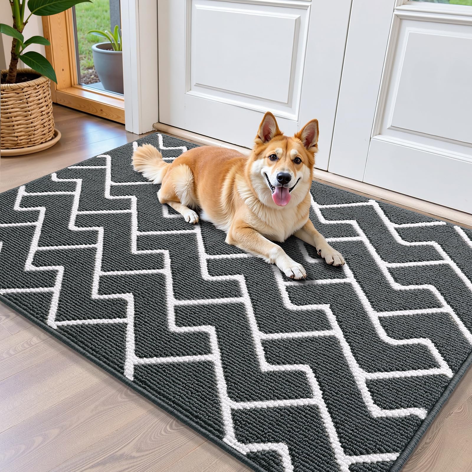 OLANLY Front Door Mat, Non-Slip Rubber Backing, Dirt Resistant and Absorbent, Washable, Easy to Clean Low-Profile Indoor Doormat for Back Door, Entryway, Inside Entrance, 32x20, Grey