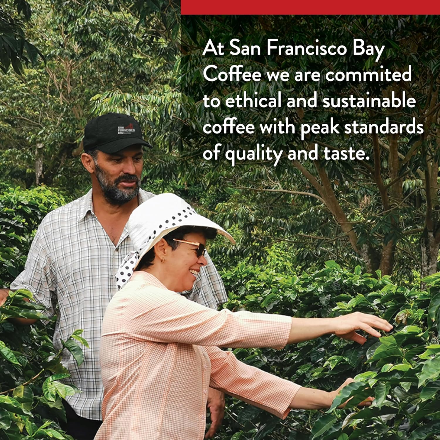 San Francisco Bay Ground Coffee, Bay Bridge Blend (28 oz Bag), Medium Roast Coffee