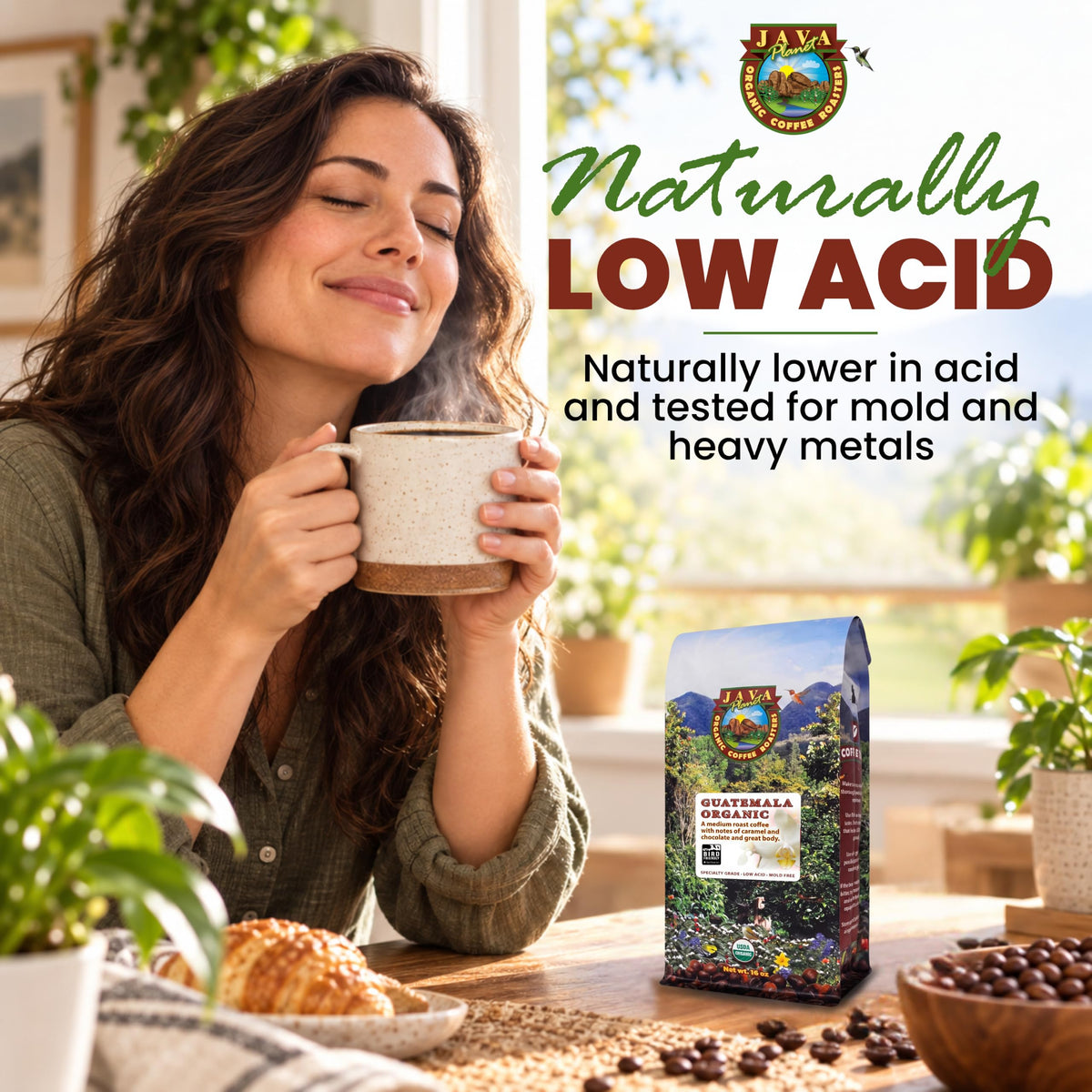 Java Planet Low Acid Organic Espresso Whole Bean Coffee 16oz