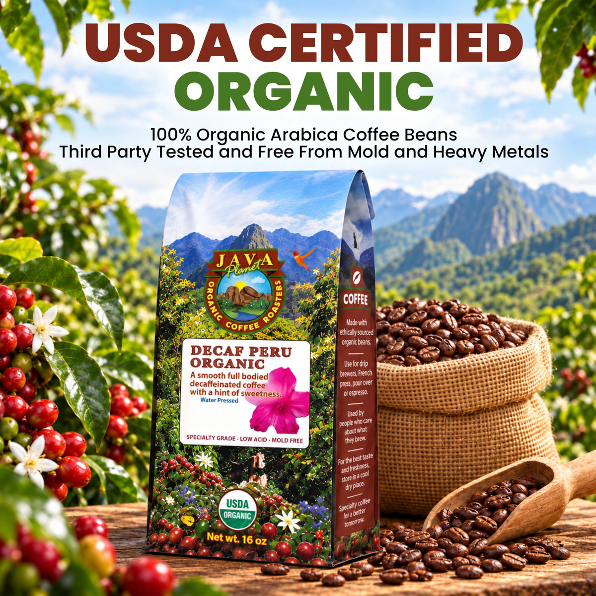 Java Planet Low Acid Organic Espresso Whole Bean Coffee 16oz