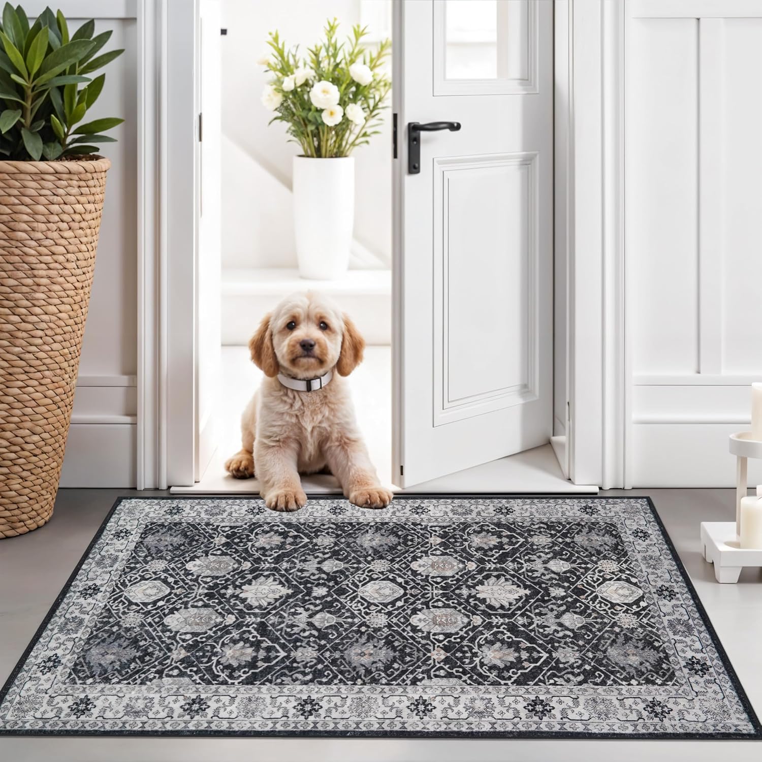 Washable 2x3 Entryway Area Rug - Neutral Kitchen Rug Runner Vintage Soft Floor Mat Non Slip Indoor Farmhouse Carpet for Bathroom Living Room Bedroom (2 X 3, Beige)