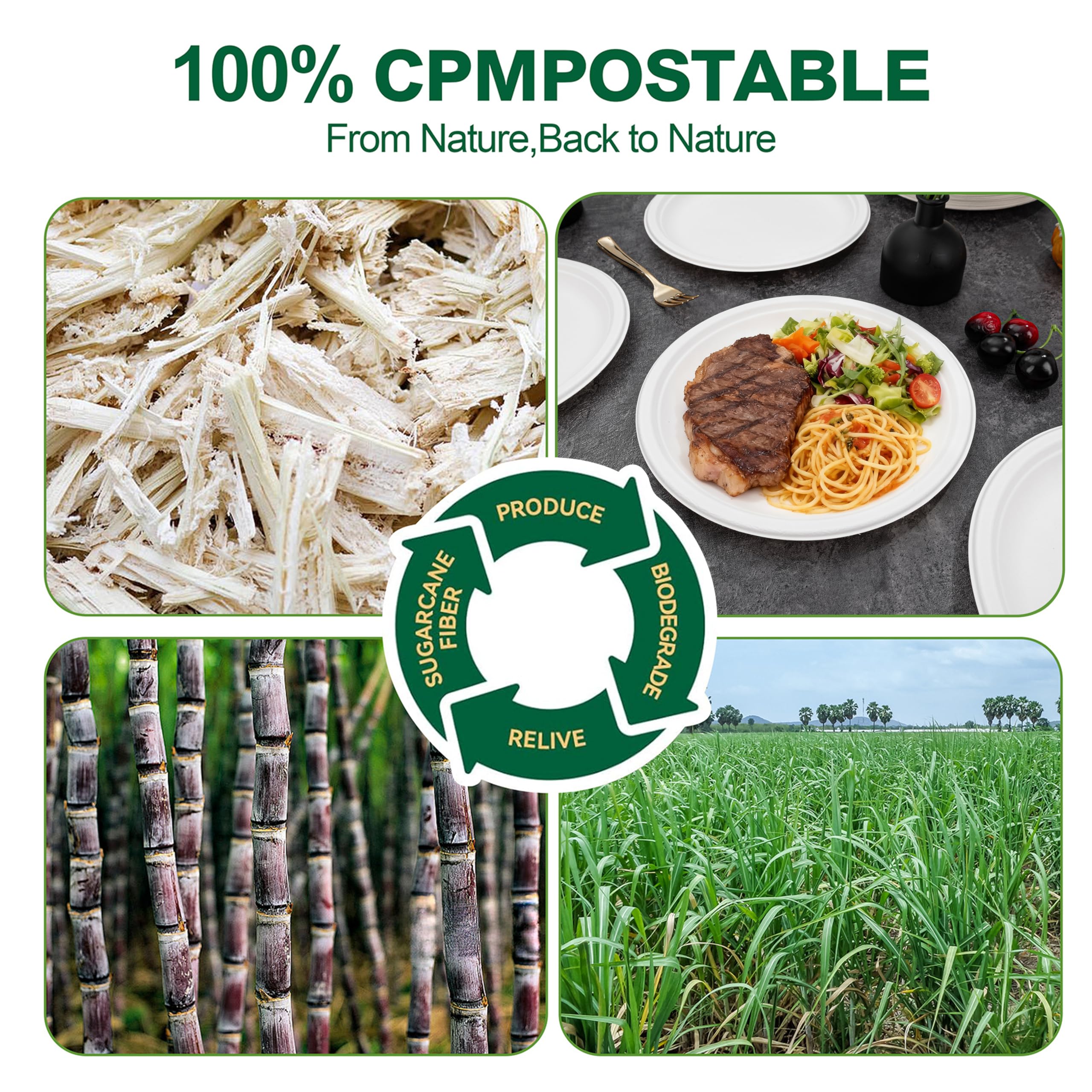DaYammi 100% Compostable Oval Paper Plates 12 Inch, 60-Pack Heavy Duty Paper Plates Bulk,Biodegradable Bagasse,Eco-Friendly Disposable Dinner Plate for BBQ,Picnic,Party (BPI Certified,Microwaveable)