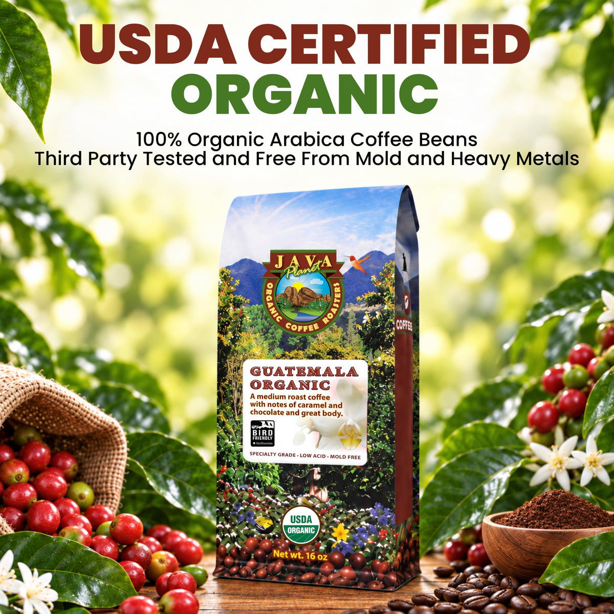 Java Planet Low Acid Organic Espresso Whole Bean Coffee 16oz
