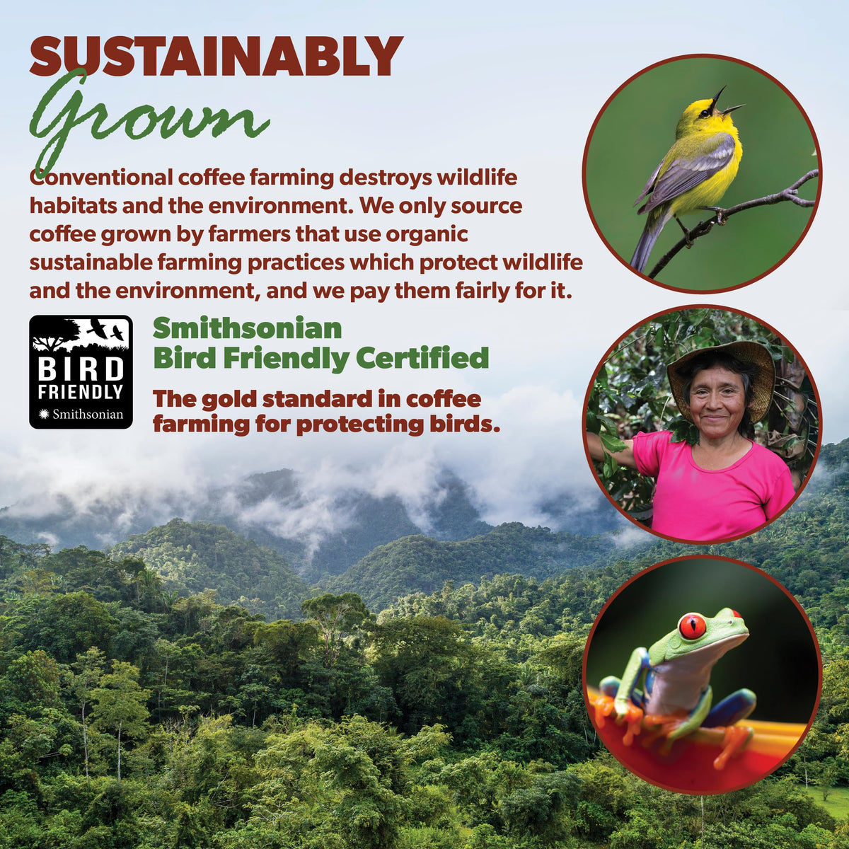 Java Planet Low Acid Organic Espresso Whole Bean Coffee 16oz